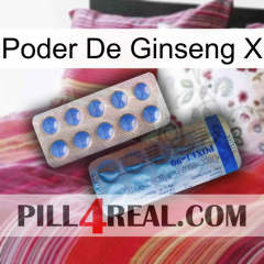 Ginseng Power X 40